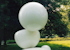 Logo Stichting De Witte Bollen